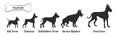 Dog breeds vector silhouettes black